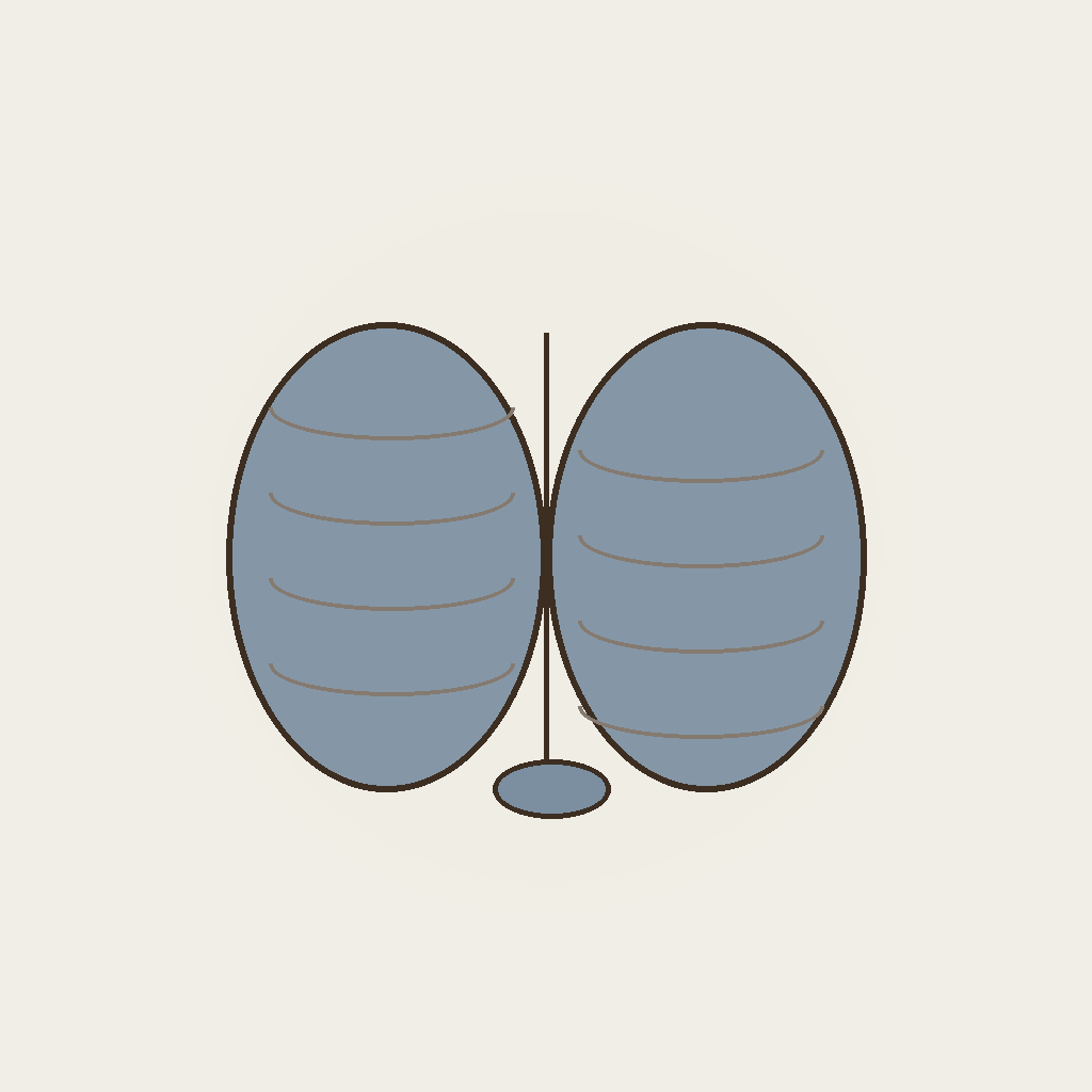 5-HTP