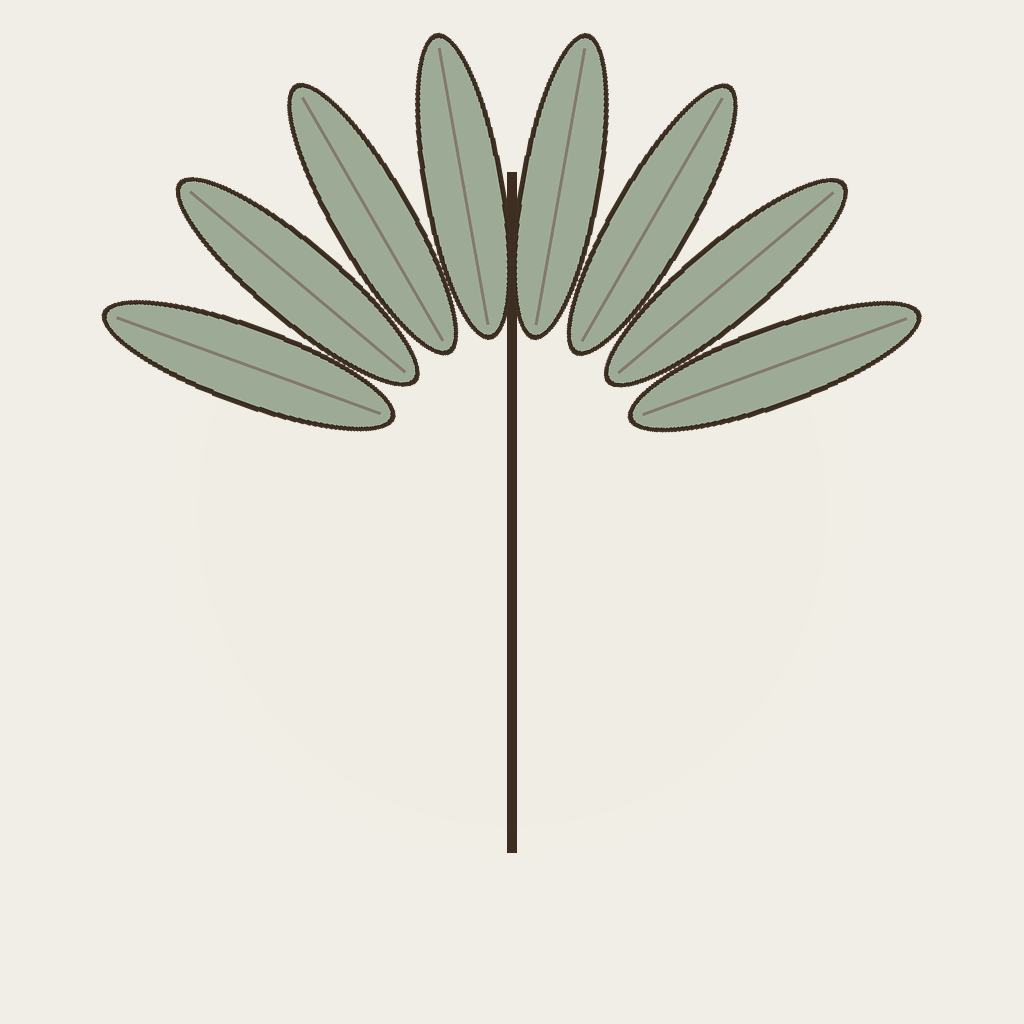 Saw Palmetto