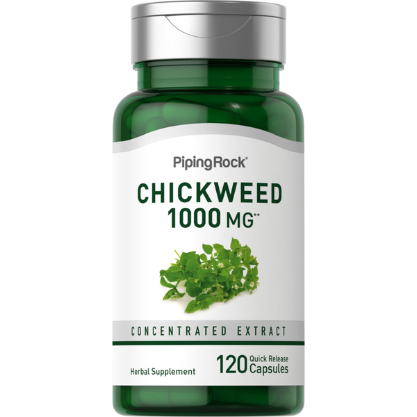 خلاصة عشبة الطير ( حشيشة القزاز ) 10:1  1000 ملجم 120 كبسولة PipingRock Chickweed Non-GMO (Best Before 01-01-2027)