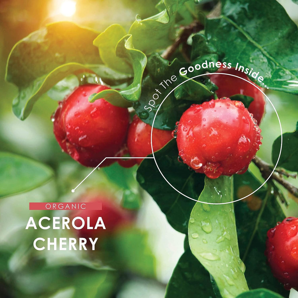 فيتامين سي طبيعي 100% 80 ملغم من خلاصة الكرز الهندي يعادل 11750 ملغم 90 كبسولة ALPHA01 Organic Acerola Cherry Extract 100% Natural Vitamin C (Best Before 01-01-2028) فيتامين سي طبيعي 100% 80 ملغم من خلاصة الكرز الهندي يعادل 11750 ملغم 90 كبسولة ALPHA01 Organic Acerola Cherry Extract 100% Natural Vitamin C (Best Before 01-01-2028)