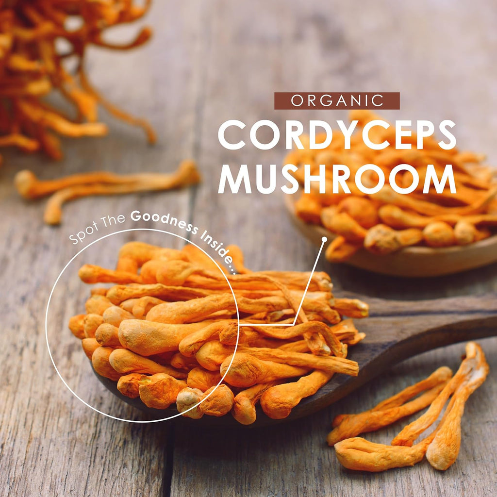 فطر كورديسيبس عضوي بودرة 100 جرام Alpha01 Organic Cordyceps Sinensis Powder (Best Before 01-07-2027) فطر كورديسيبس عضوي بودرة 100 جرام Alpha01 Organic Cordyceps Sinensis Powder (Best Before 01-07-2027)