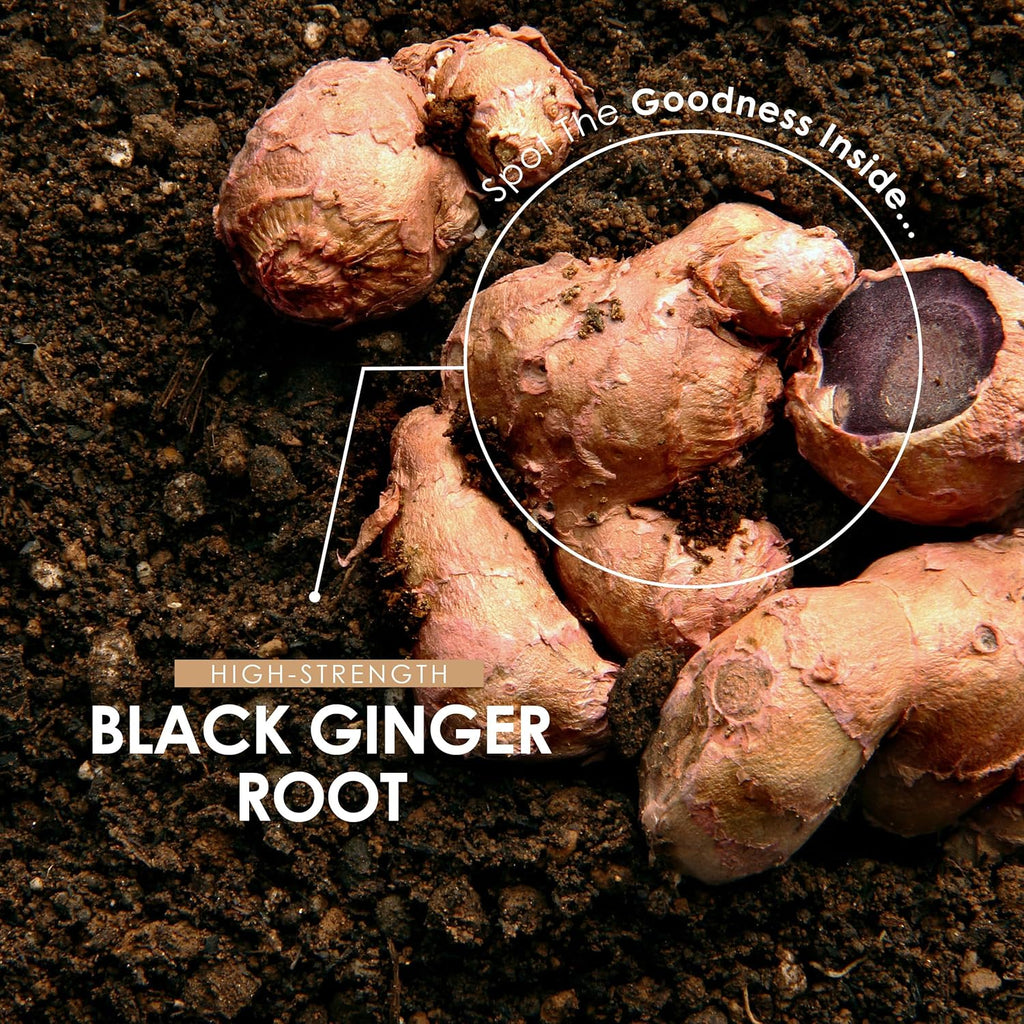 مستخلص زنجبيل أسود بالقوة القصوى يعادل 1950 ملجم 90 كبسولة ALPHA01 Black Ginger Extract High Strength 6 mg Dimethoxyflavone (Best Before 01-07-2027) مستخلص زنجبيل أسود بالقوة القصوى يعادل 1950 ملجم 90 كبسولة ALPHA01 Black Ginger Extract High Strength 6 mg Dimethoxyflavone (Best Before 01-07-2027)
