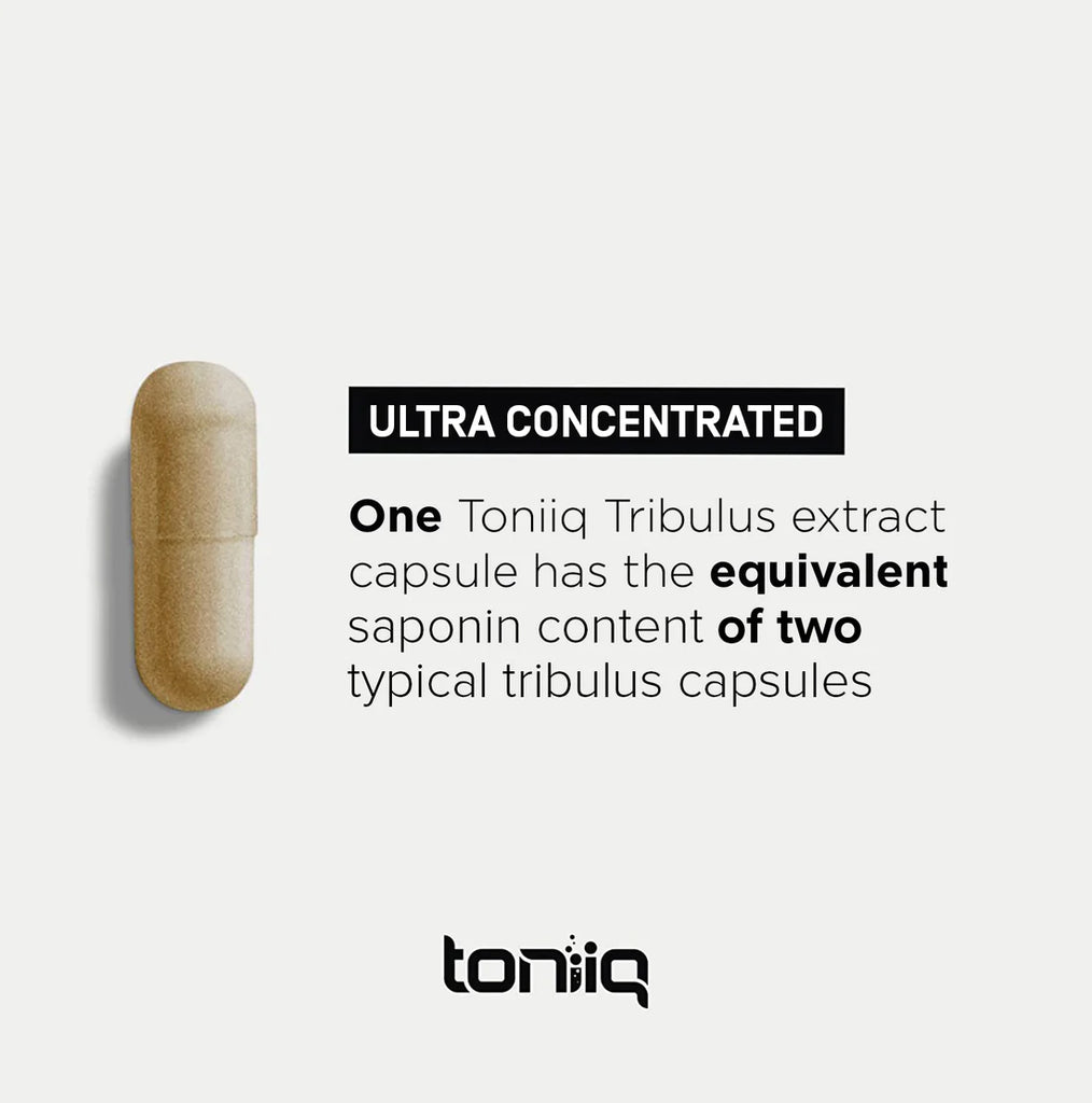 خلاصة الحسك فائق القوة 650 ملجم 95٪ صابونين 120 كبسولة Toniiq Ultra High Strength Tribulus 95% Steroidal Saponins (Best Before 01-02-2026) خلاصة الحسك فائق القوة 650 ملجم 95٪ صابونين 120 كبسولة Toniiq Ultra High Strength Tribulus 95% Steroidal Saponins (Best Before 01-02-2026)